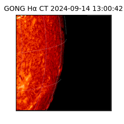 gong - 2024-09-14T13:00:42