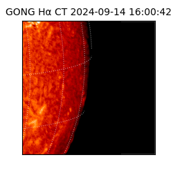 gong - 2024-09-14T16:00:42