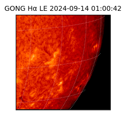 gong - 2024-09-14T01:00:42