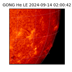 gong - 2024-09-14T02:00:42