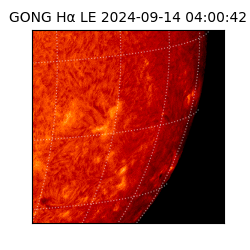 gong - 2024-09-14T04:00:42