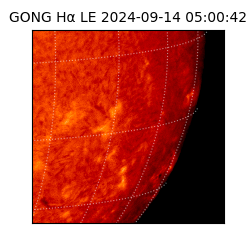 gong - 2024-09-14T05:00:42