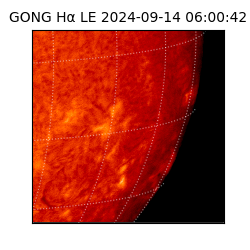 gong - 2024-09-14T06:00:42