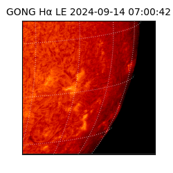 gong - 2024-09-14T07:00:42