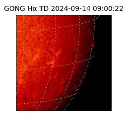 gong - 2024-09-14T09:00:22