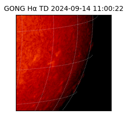 gong - 2024-09-14T11:00:22