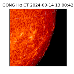 gong - 2024-09-14T13:00:42