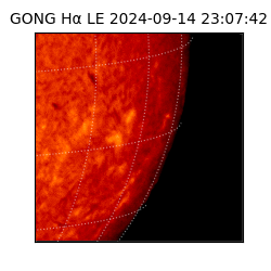 gong - 2024-09-14T23:07:42