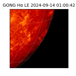 gong - 2024-09-14T01:00:42