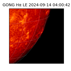 gong - 2024-09-14T04:00:42