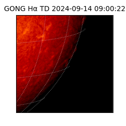 gong - 2024-09-14T09:00:22