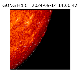 gong - 2024-09-14T14:00:42