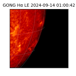 gong - 2024-09-14T01:00:42