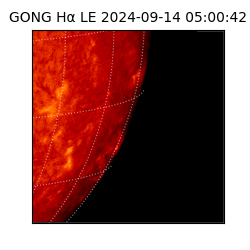 gong - 2024-09-14T05:00:42