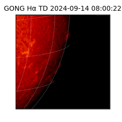 gong - 2024-09-14T08:00:22