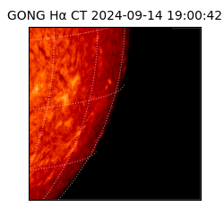 gong - 2024-09-14T19:00:42