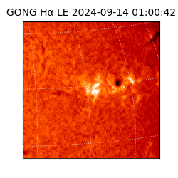 gong - 2024-09-14T01:00:42