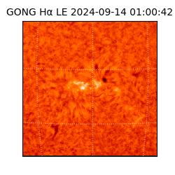 gong - 2024-09-14T01:00:42