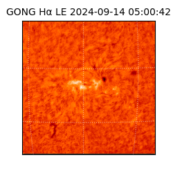 gong - 2024-09-14T05:00:42