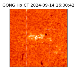 gong - 2024-09-14T16:00:42