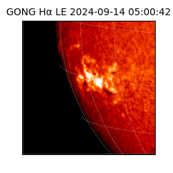 gong - 2024-09-14T05:00:42