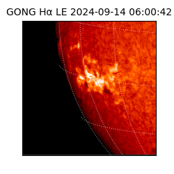 gong - 2024-09-14T06:00:42