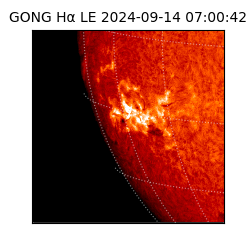 gong - 2024-09-14T07:00:42