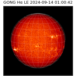 gong - 2024-09-14T01:00:42