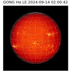 gong - 2024-09-14T02:00:42