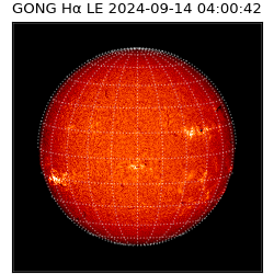 gong - 2024-09-14T04:00:42