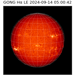 gong - 2024-09-14T05:00:42