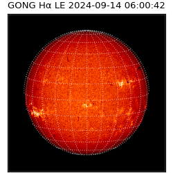 gong - 2024-09-14T06:00:42