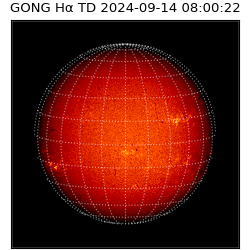 gong - 2024-09-14T08:00:22