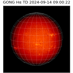 gong - 2024-09-14T09:00:22