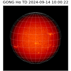 gong - 2024-09-14T10:00:22