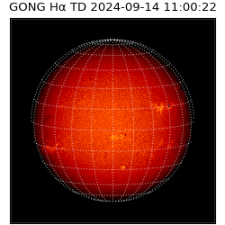 gong - 2024-09-14T11:00:22