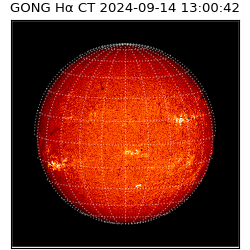 gong - 2024-09-14T13:00:42