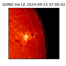 gong - 2024-09-15T07:00:42