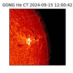 gong - 2024-09-15T12:00:42