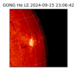 gong - 2024-09-15T23:06:42