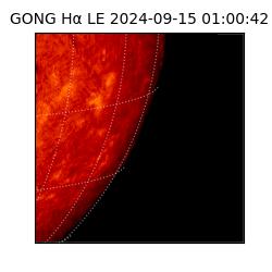 gong - 2024-09-15T01:00:42