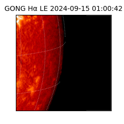 gong - 2024-09-15T01:00:42