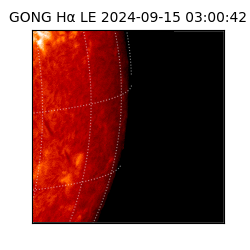 gong - 2024-09-15T03:00:42