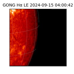 gong - 2024-09-15T04:00:42