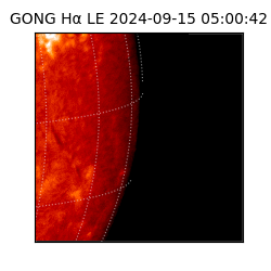 gong - 2024-09-15T05:00:42