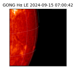 gong - 2024-09-15T07:00:42