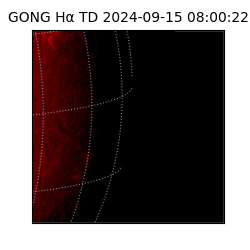 gong - 2024-09-15T08:00:22