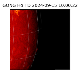 gong - 2024-09-15T10:00:22