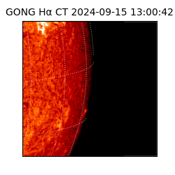 gong - 2024-09-15T13:00:42