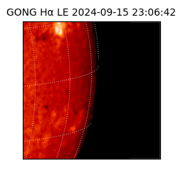 gong - 2024-09-15T23:06:42